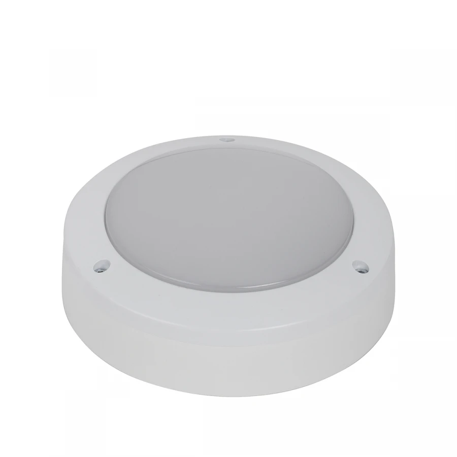 LED Luminaire Housing and Communal Services Mini-10 (BIEA.676279.008)
