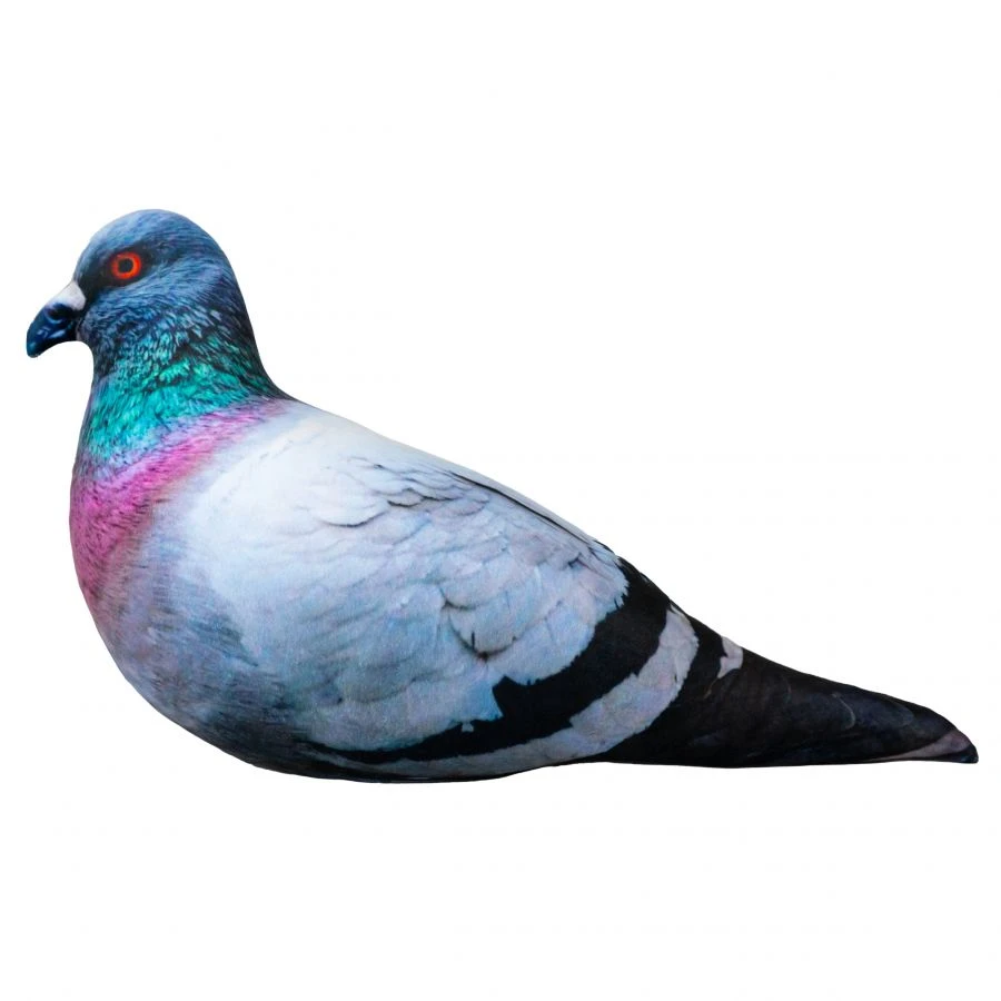 Realistic Antistress Pigeon 40 cm