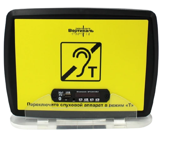 Portable induction system "VERT-1 MP3"