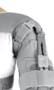 Shoulder joint apparatus