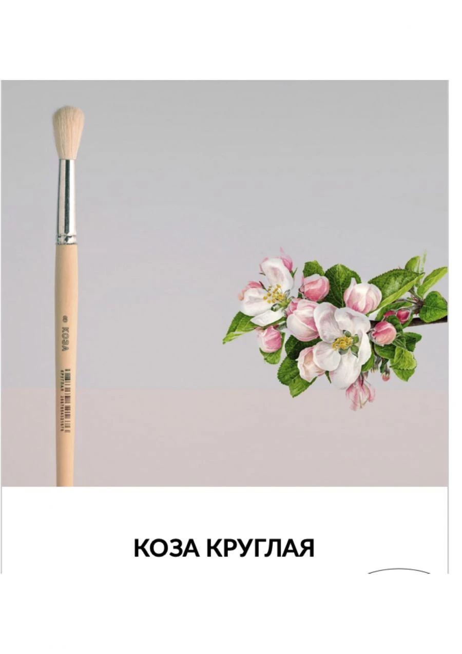 Painted round brush of natural hair of goat