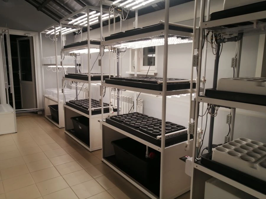 Hydroponic plant "SCHOOL"