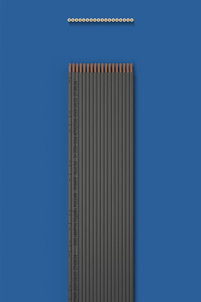 Installation flat wire with two-layer (double) insulation PUVVPG 18õ0,50