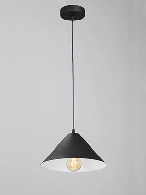 General purpose fixed luminaire V2925-1/1S
