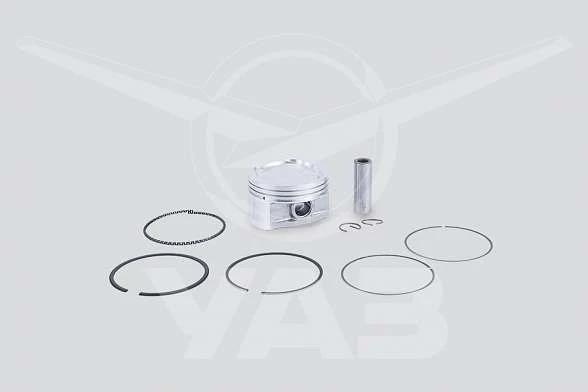 PISTON WITH PISTON PIN, WITH PISTON AND RETAINING RINGS SET 40904.1004018-10-02