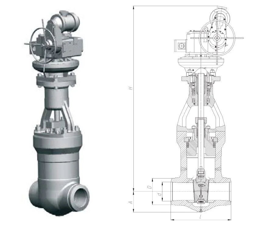 Gate valve 1123-100-EM