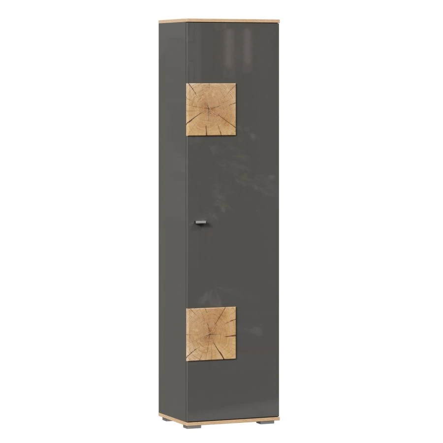 Fiji LD.659160.000 Single-leaf cupboard (Oak Gold/Antracite )