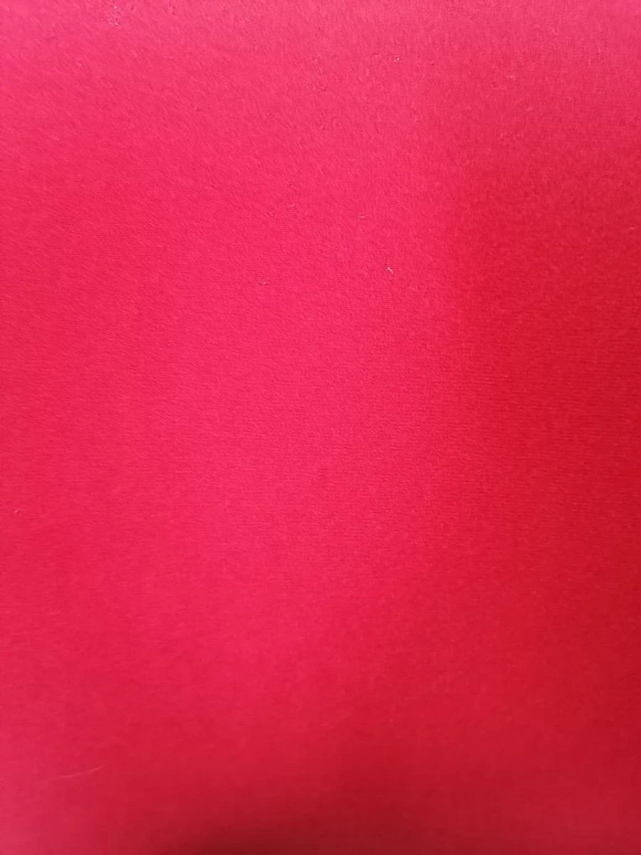 Knitted basic knitted piled fabric of "Velour" type article PTO-220. 226