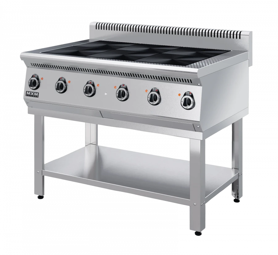Electric cooker PE67P-02 (on a stand, completely made of stainless steel, with air duct)