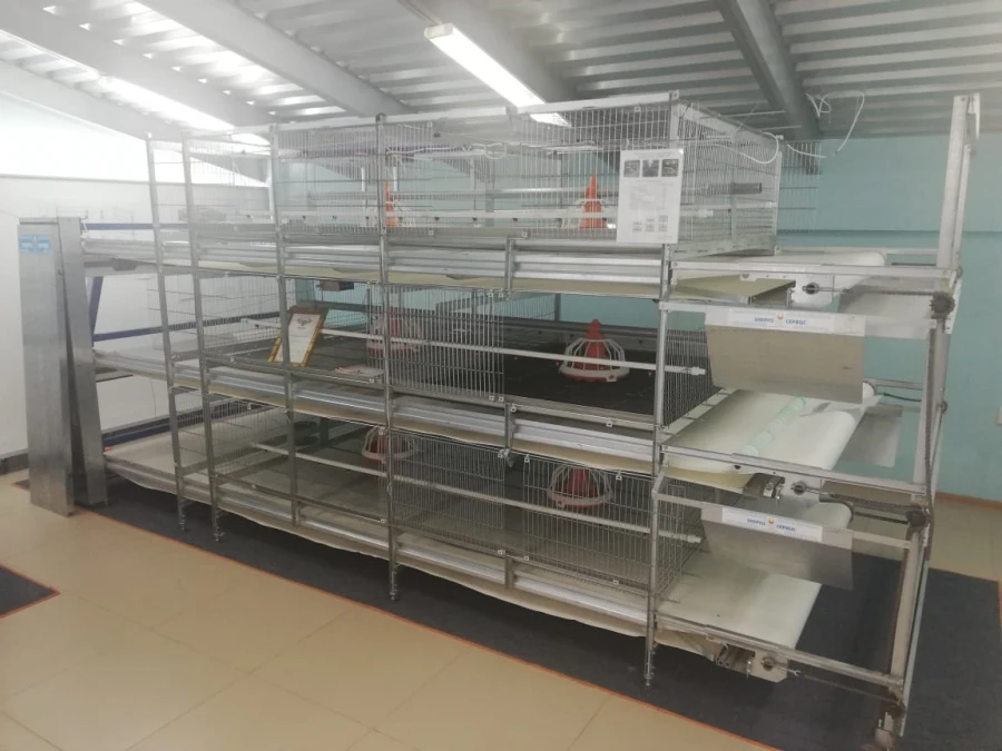 Installation for broiler growing, model "CARRE-1600"