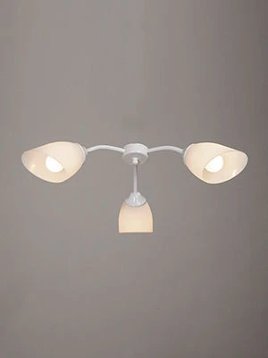 General purpose fixed luminaire V3194/3PL
