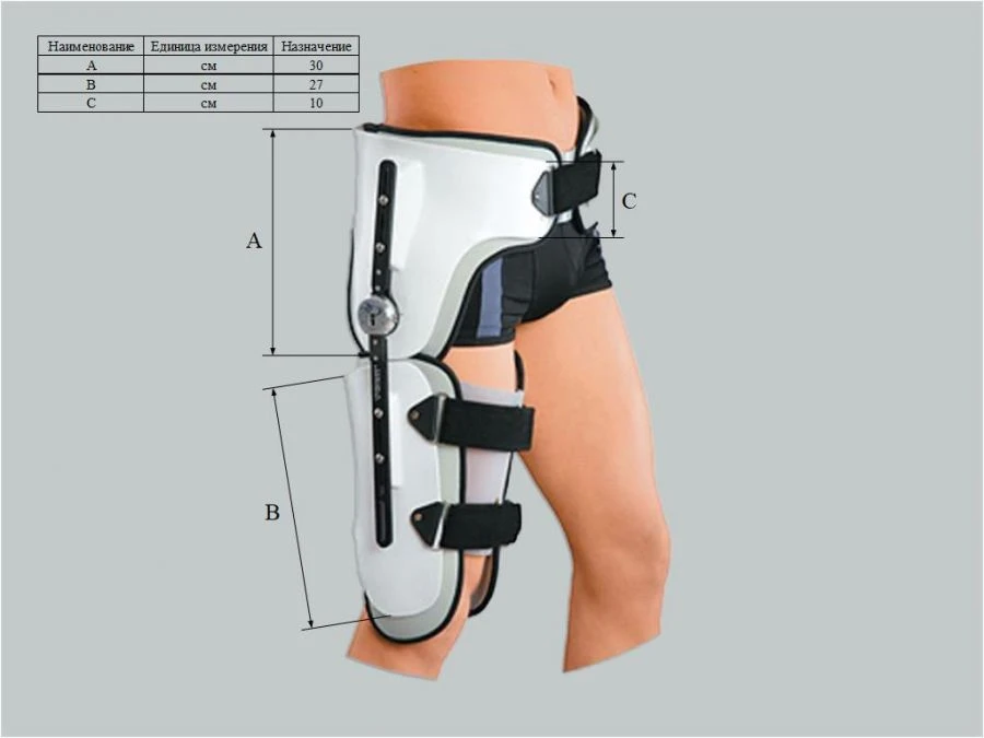 Knee and hip joint apparatus