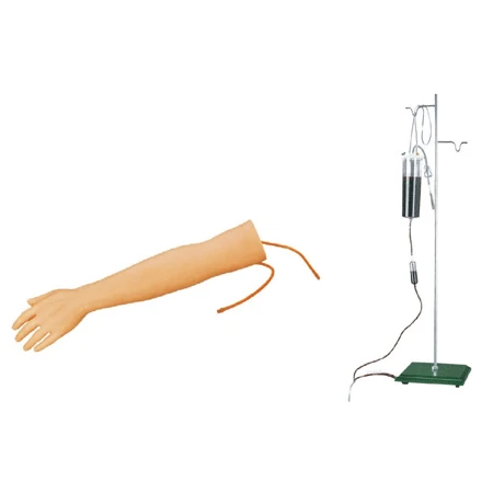 Multifunctional hand model for practising injections, S