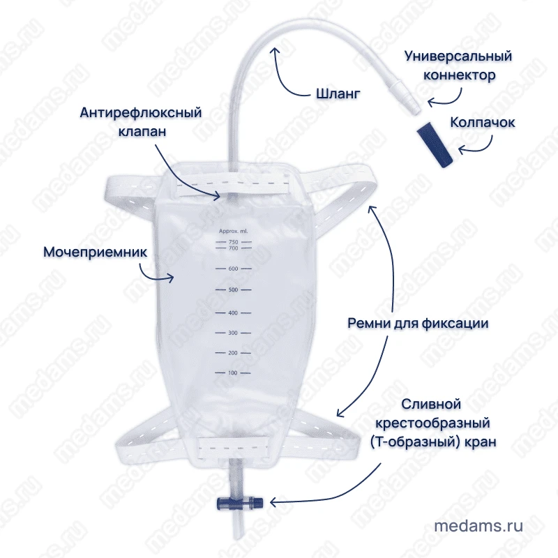 Wearable urine collector