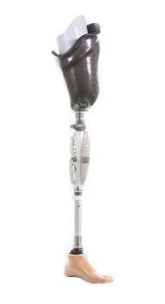 Modular hip prosthesis, including those with congenital underdevelopment, PN6-OB