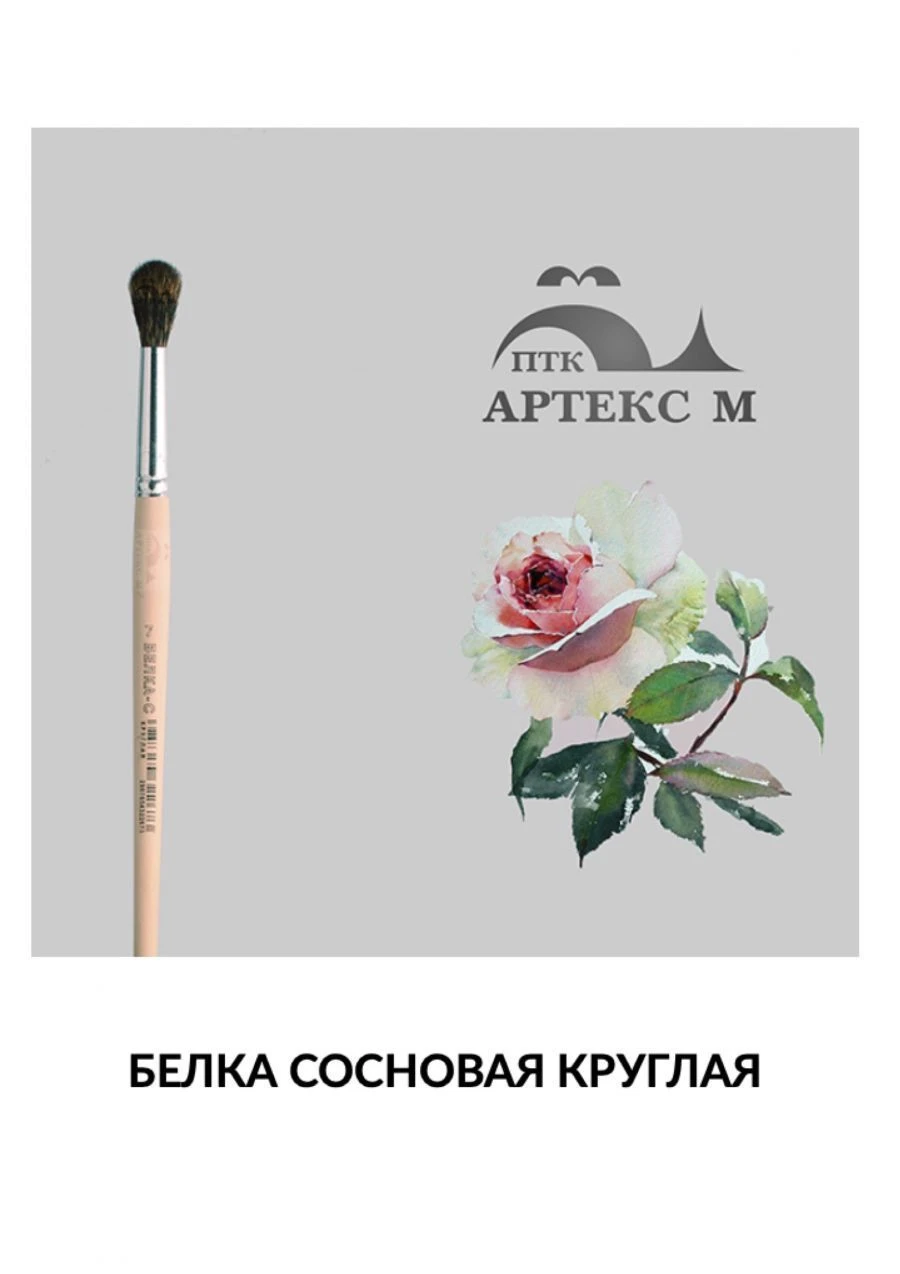 Squirrel natural hair brush (squirrel pine type) round pictorial brush