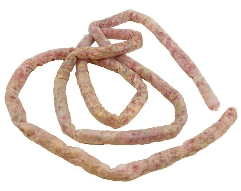 Model of small intestine, 12005