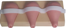 Model for curettage T33A/GP6632