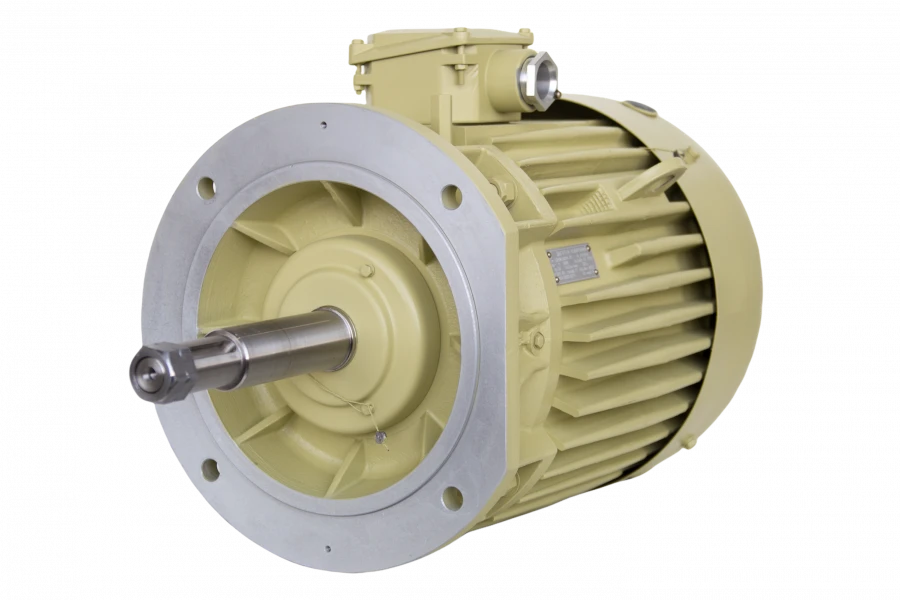 Three-phase asynchronous motors DMN200, DMMN200 (45 kW)