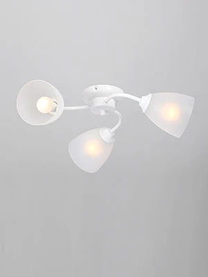 General purpose fixed luminaire V3597/3PL