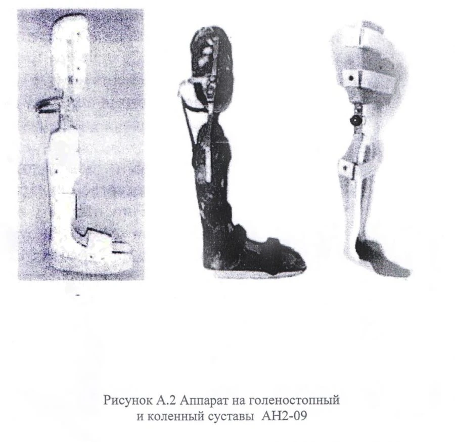 Ankle and knee joint apparatus AN2-09