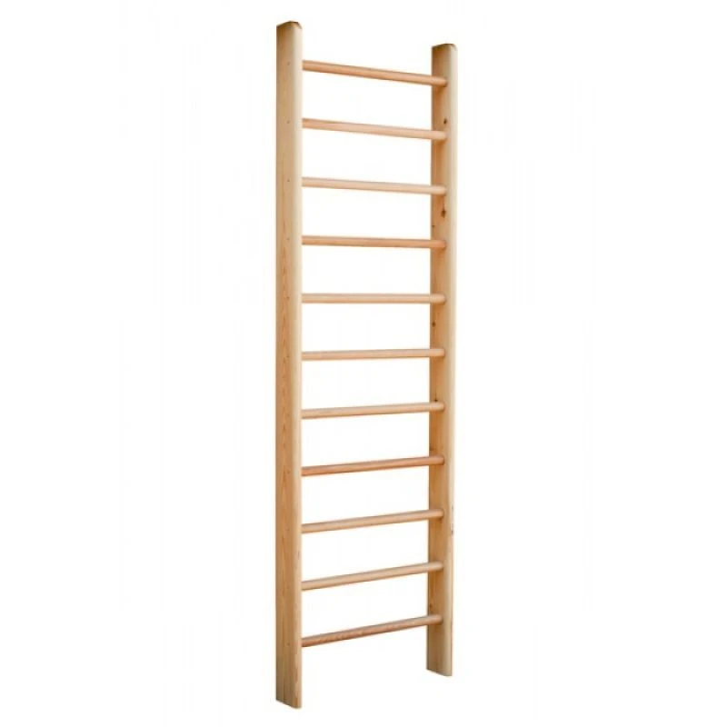 Gymnastic wall