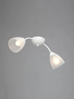 General purpose fixed luminaire V3737-0/2PL