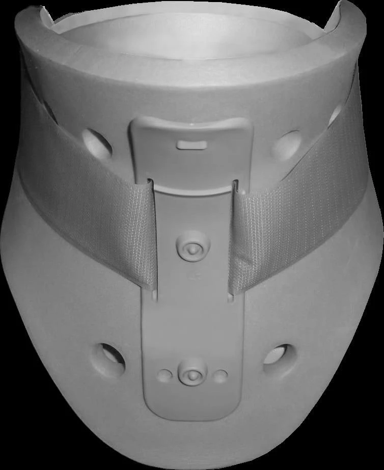 Head holder of rigid fixation