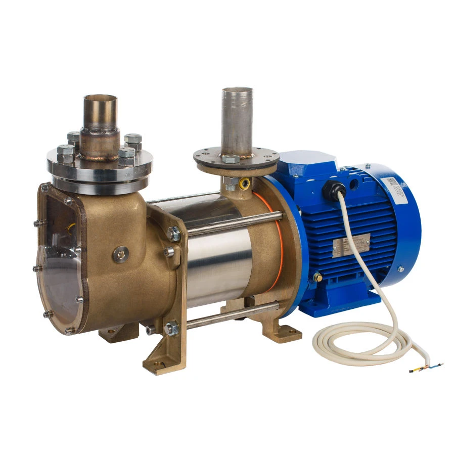 Pumping vacuum station SNV-25