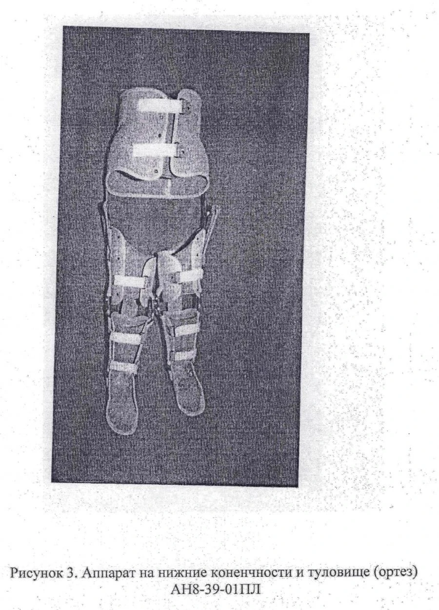 Apparatus for lower limbs and trunk (orthosis) AN8-39-01PL