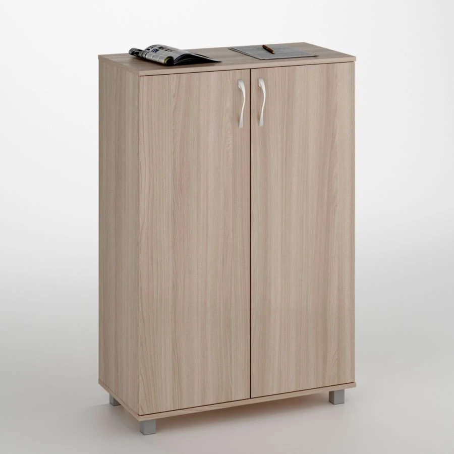 Low filing cabinet 2 doors