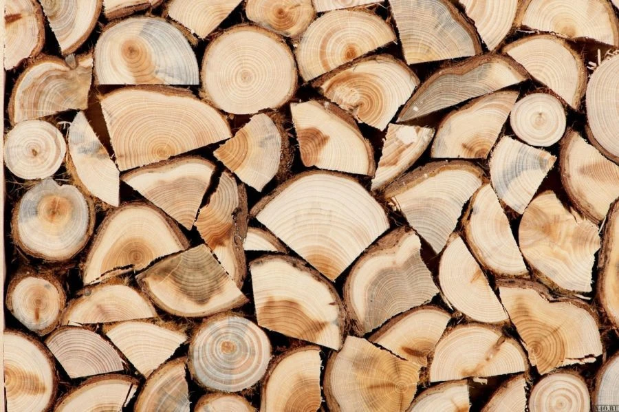 Premium Quality Firewood for Efficient Heating and Cooking
