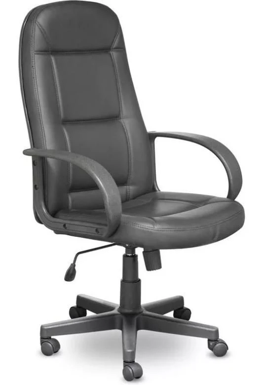 Armchair ''Idra'' (leather), high backrest / Ñu24