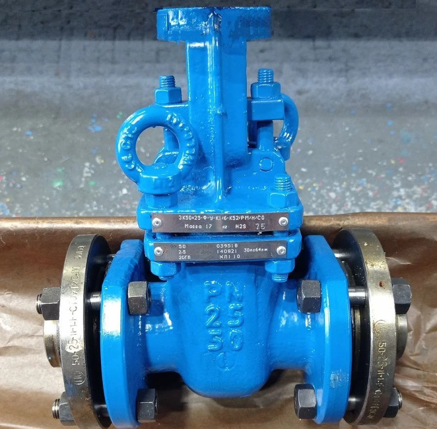Steel wedge gate valve with sliding spindle under drive RN 2,5 MPa DN 50