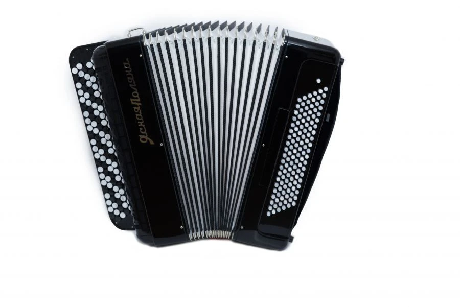 Concert double-voiced accordion "Yasnaya Polyana" 112/67x120/57-II