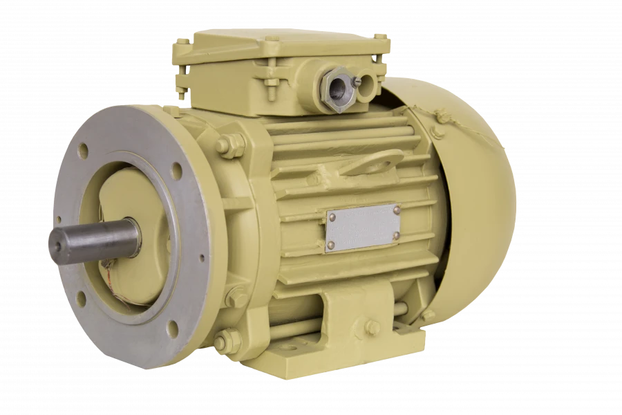 Three-phase asynchronous motors DM100, DMM100