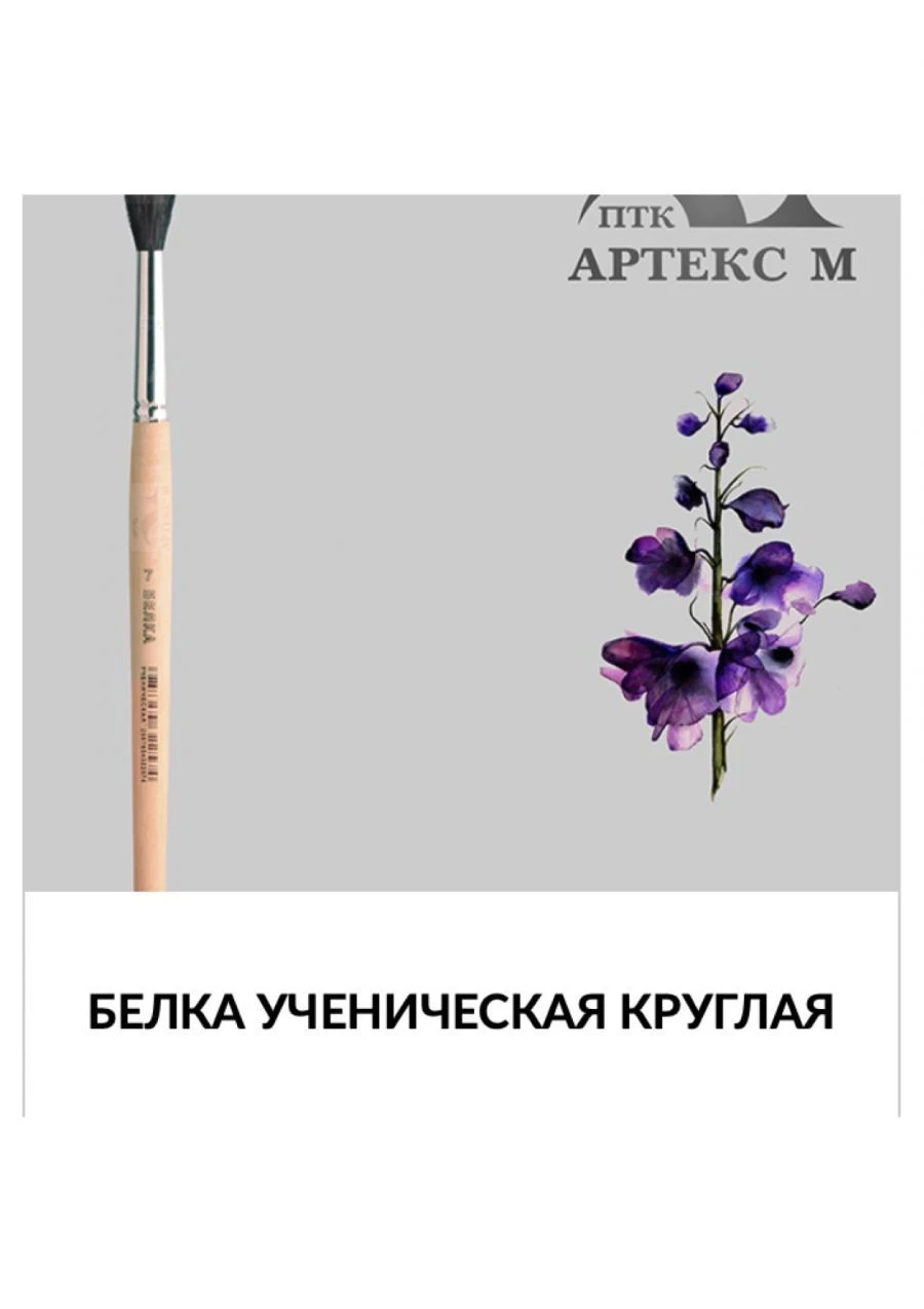 Squirrel natural hair brush, round pictorial