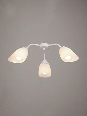 General purpose fixed luminaire V3195/3PL