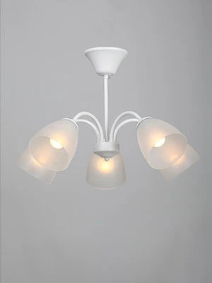 General purpose fixed luminaire V3754/5PL