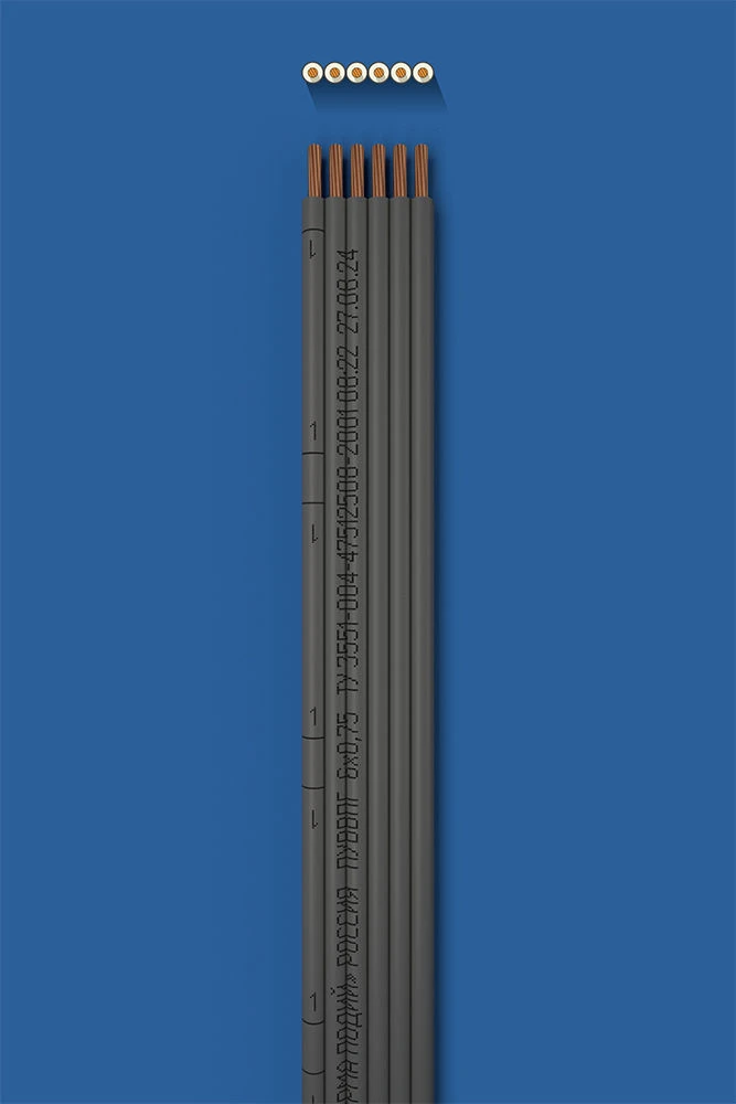 Installation flat wire with two-layer (double) insulation PUUVVVPG 6õ0,75