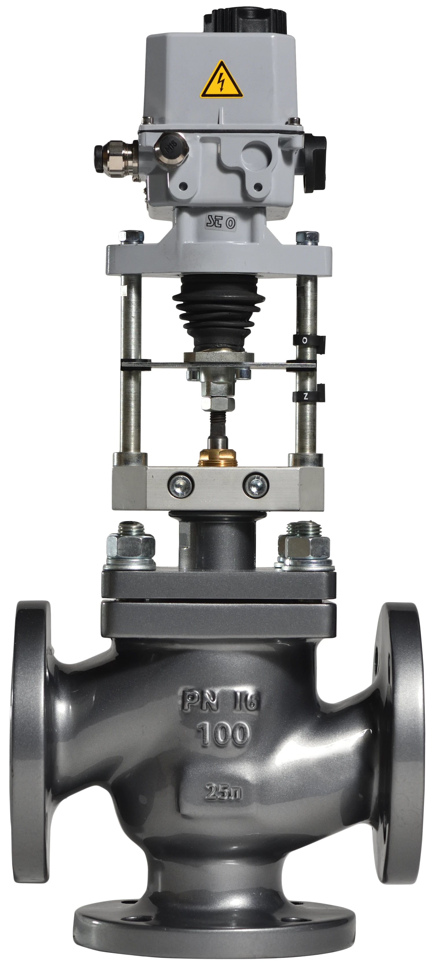 Large-bore variant (DN 100)