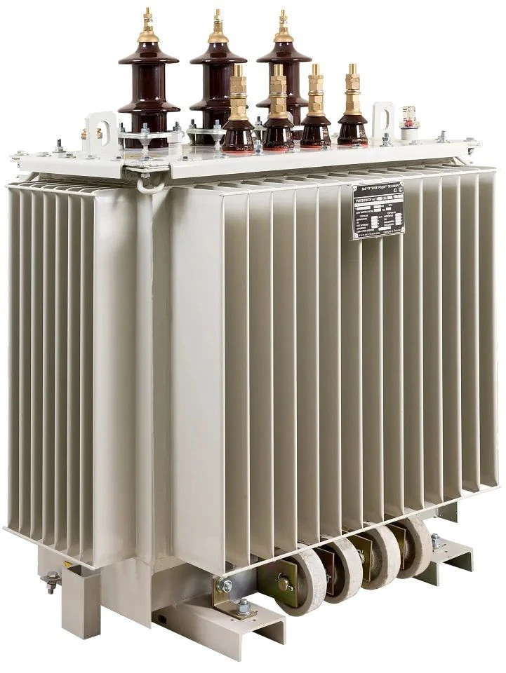 Oil distribution transformers TMG-SESHCH of 250-1000 kVA capacity of 6, 10 kV voltage class