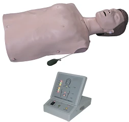 CPR training dummy torso, item CPR2000 / CPR200S