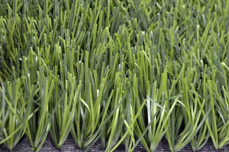 Artificial grass Grass 50Z/10 PU