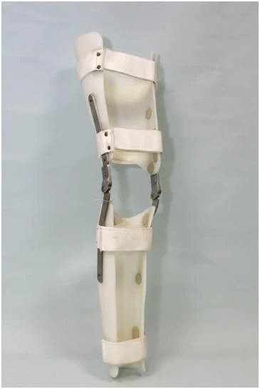 Knee joint apparatus AN4-01-OK