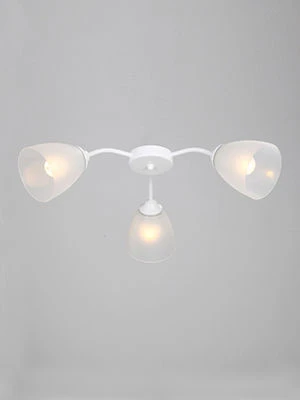 General purpose fixed luminaire V37610/3PL