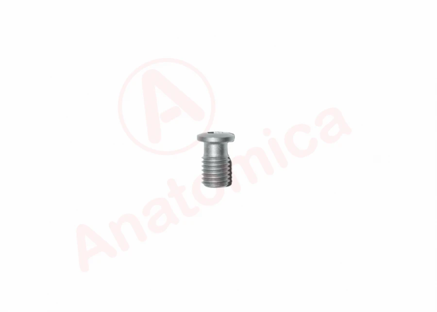 Cap screw M7