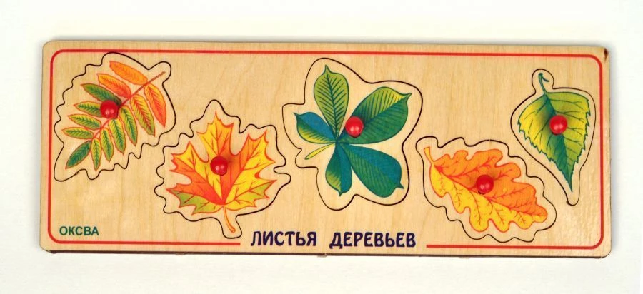 Seguin "Tree Leaves" board