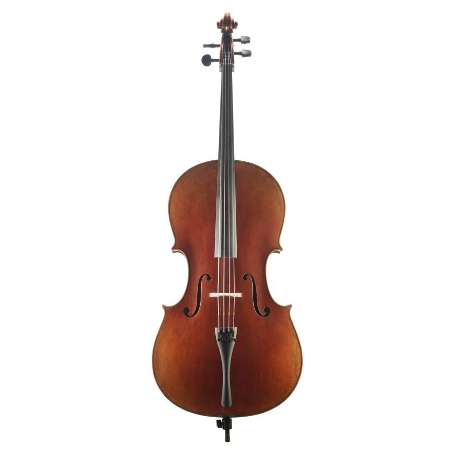 Goronok "Nikolai Petrov" master cello 4/4