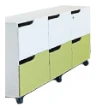 Mobile storage cabinet MGS1.038